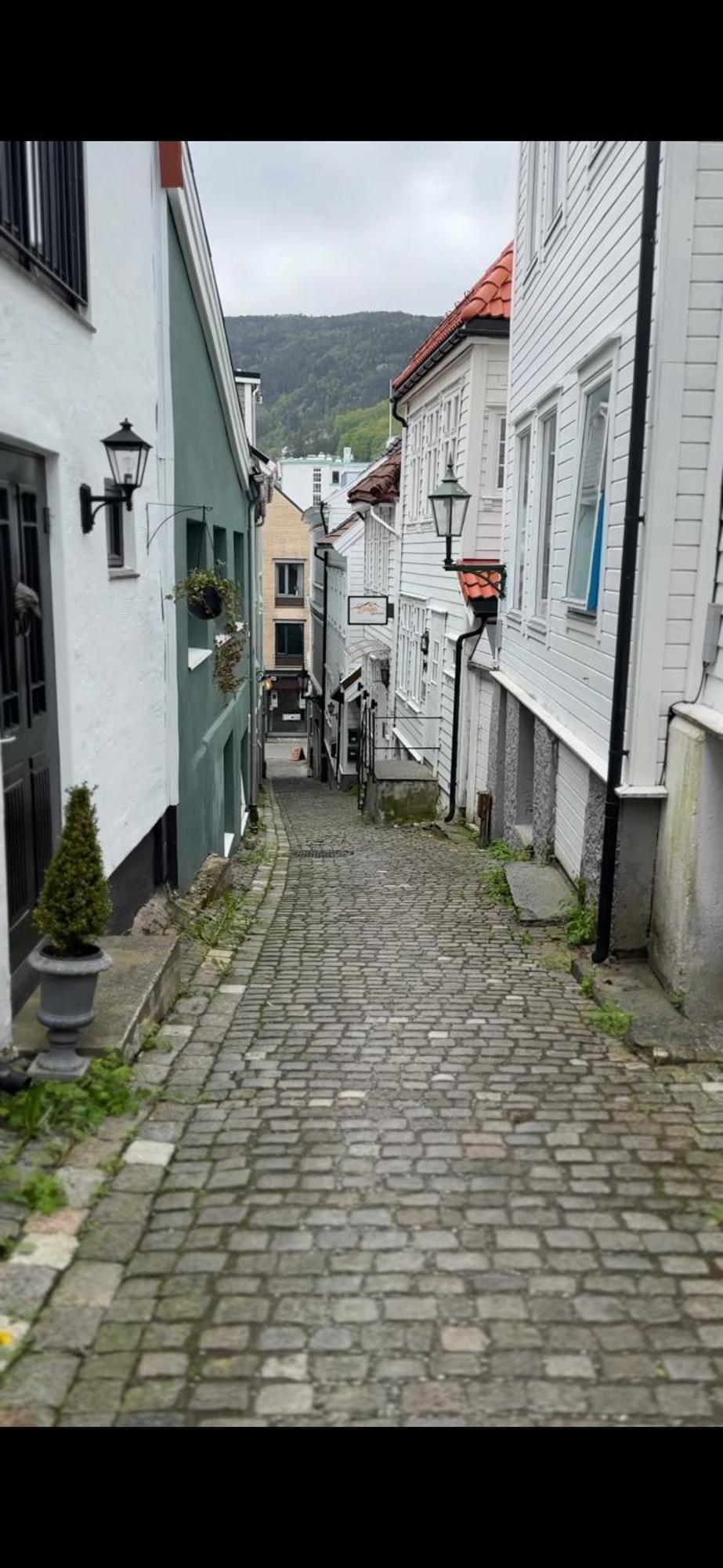 The Dreamhouse - Inner City Center - Old Town Bergen Luaran gambar